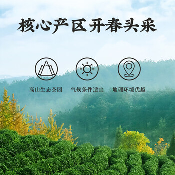 第一江南红茶武夷山正山小种特级250g浓香茶叶礼盒罐装春茶高端送人礼品