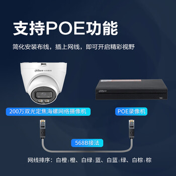 dahua大华监控摄像头 200万双光网络高清半球监控摄像机 POE供电红外夜视监控器 P20T1-A-IL-2.8mm