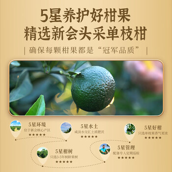 澜沧古茶 2024年茶妈妈柑普茶陈皮新会普洱茶熟茶柑普茶茶叶 250g/罐