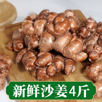广东正宗现挖沙姜老姜土特产食用椰子鸡蘸料调料新鲜沙姜4斤饭店装