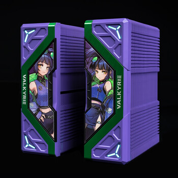 瓦尔基里(VALKYRIE）DL125 赵芸 VK CPU风冷散热器  双塔 焊接6热管纯铜底  支持LGA1700 AM5 ARGB光效 