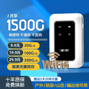 ◎SA エリアブースター シンキング WF6SI スーパーインター 加賀SP 送料無料◎ 642379 スプリング リコイルスタータ 1個 BIGM(丸山製作所