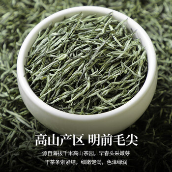 陈一凡毛尖茶250g 特级浓香型春茶明前炒青绿茶茶叶袋装