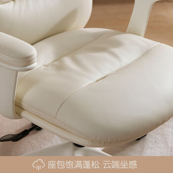 富凯电脑椅家用书房椅轻奢学习椅子人体工学办公椅升降转椅B2315 富凯电脑椅家用书房椅轻奢学习椅子人体工学办公椅升降转椅B2315