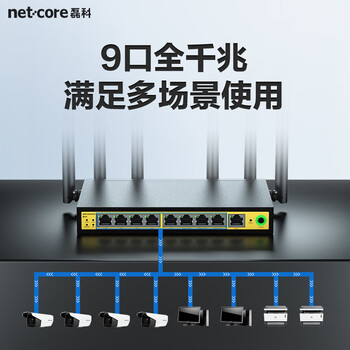 磊科（netcore）B11全千兆9口企业级无线路由器 1200M双频5G多WAN口 家用商用高速路由WiFi穿墙/多运营商接入
