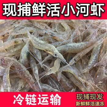 海捕天然小白虾新鲜小海虾生鲜小对虾小虾仔活冻河虾冷冻小虾康如四云