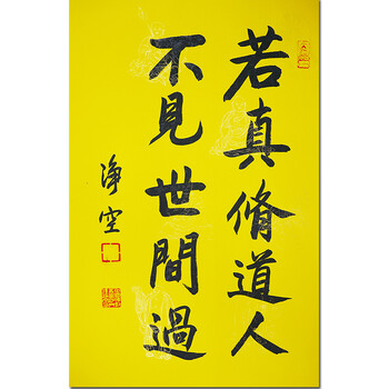 净空法师 【若真修道人 不见世间过】