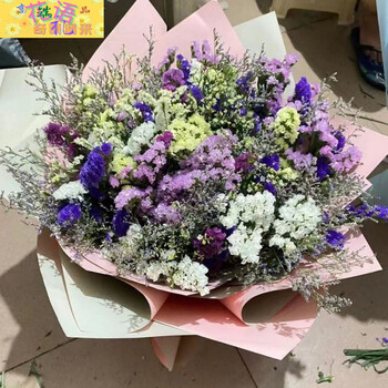 满天星假花摆件diy花束制作送女友云南勿忘我干花花束鲜花真花批发插花装饰客厅摆件花卉礼物 图片价格品牌报价 京东