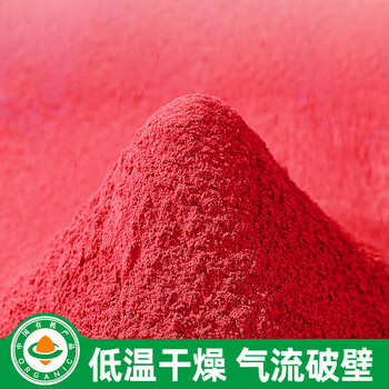 丙田 有机甜菜根粉150g 纯红甜菜头粉无添加蔗糖甜菜根汁果蔬菜粉健身