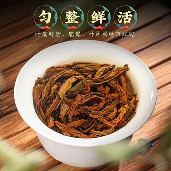 御兰堡（YALUMBA）新茶大红袍 125g单罐装（包装随机） vi