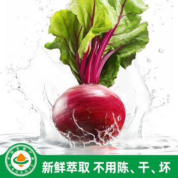 丙田 有机甜菜根粉150g 纯红甜菜头粉无添加蔗糖甜菜根汁果蔬菜粉健身