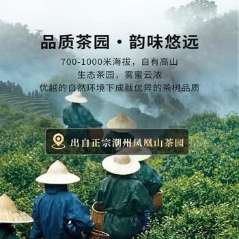 枞大师凤凰单枞蜜兰香乌龙茶叶特级144g炭焙罐装浓香单丛茶送长辈自己喝