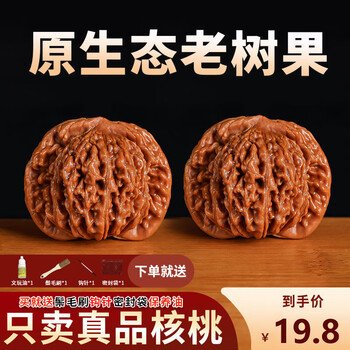 【東京文玩育成】文玩核桃 原樹吸血鬼官帽 32x31x43mm 麻核桃文玩核桃价格报价行情- 京东