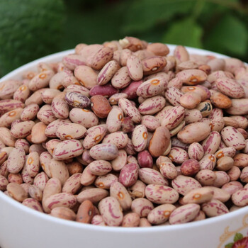 贵州遵义特产 农家自种四季豆 豆子豆米火锅花豆酸菜豆米500g