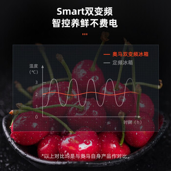 奥马BCD-253WF/B冰箱到底值不值得选择？深入揭秘为你解说