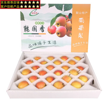 南果梨 一箱高級 売れ筋商品 南果梨一箱高級 果物 - 果物 果物 - 果物
