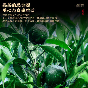 茗杰茶叶 武夷山正山小种陈皮红茶 浓香驱寒罐装自己喝送礼礼盒装500g