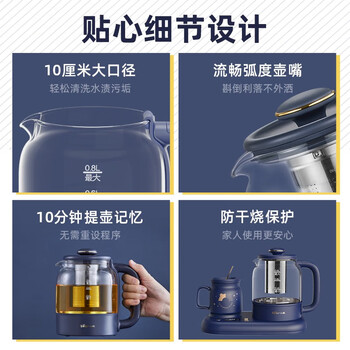 小熊（Bear）迷你养生壶养生杯 烧水壶 煮茶壶 保温杯垫多功能花茶煮茶壶YSH-C08V1蓝色