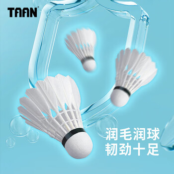 TAAN泰昂羽毛球蒸球机加湿器迷你便携充电长续航GM370