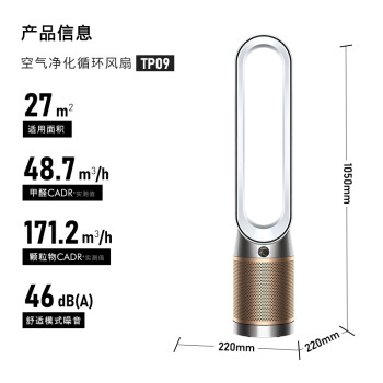 戴森DYSON TP09 空气净化风扇 净化循环二合一 整屋循环净化 除过敏原过滤花粉 宠物毛发 黑金色