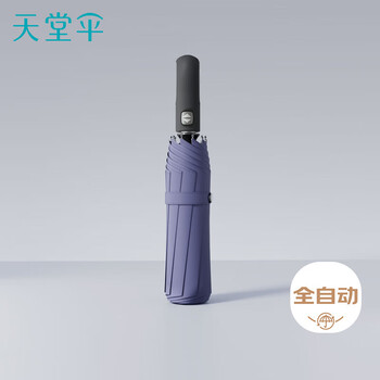 天堂伞 全自动雨伞三折 10骨加固一键开收易甩干简约商务自动伞 兰灰