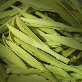 福茗源茶叶 黄山毛峰茶绿茶 特级安徽一等明前新茶春茶叶自己喝袋装125g