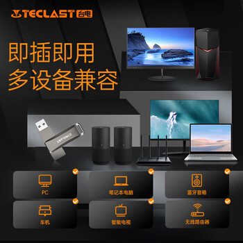 TECLAST台电玄武系列合金机身 便携耐用金属U盘 大容量 车载音乐优盘256GB*1个