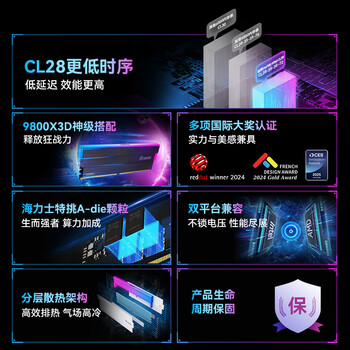 佰维（BIWIN）32G(16G×2)套装 DDR5 6000频率台式机内存条 时空行者DW100 RGB灯条(C28)白色AI PC电脑存储配件