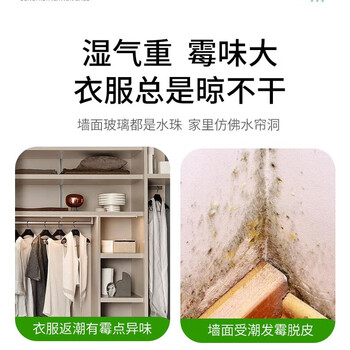 CEETOON 除湿盒160g 除湿袋批发干燥剂防潮防霉家用衣柜氯化钙 10盒起售