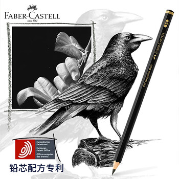 辉柏嘉（Faber-castell）彩铅17色油性艺术家级彩色铅笔素描铅笔礼盒Polychromos-210052速写素描画画笔