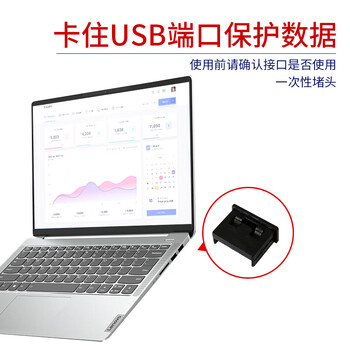 索厉 USB封口塞/USB口安全塞/USB一次性堵头/USB防尘塞/硬塑料材质/内嵌式设计/黑色10装/PBU10