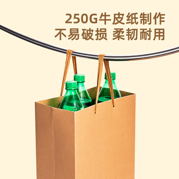 得力（deli）250g牛皮纸袋手提袋档案袋 过年礼品袋礼物包装袋生日礼物伴手礼送礼品袋子 LQ709
