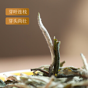 品品香白茶2024年新茶 福鼎白茶 白牡丹茶叶100g礼盒装 送礼