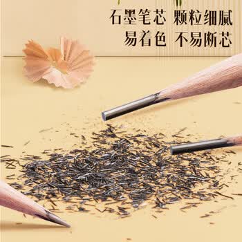 得力（deli）高级绘图铅笔12支10B素描铅笔学生六角杆书写黑铅美术写生工程制图笔初学者专用学生开学文具