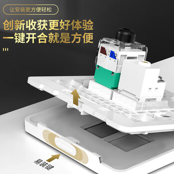 万级 六类网络面板 千兆免打网线插座二位双口 86型网络+电视家装宽带墙壁装修面板 1-14946白