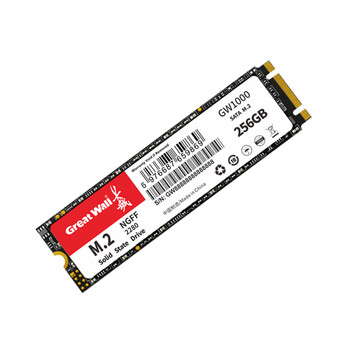 长城（Great Wall）256GB SSD固态硬盘 M.2接口SATA协议 读速540MB/S GW1000系列