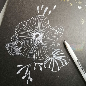 黑卡纸白色的笔绘画高光笔美术勾线笔金色银色白色书法练字笔fhc金色2