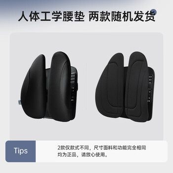 佳奥人体工学靠垫办公室护腰靠背垫椅子久坐腰垫座椅腰靠上班四向调节