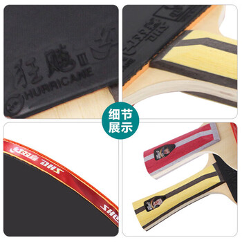 红双喜（DHS）对拍四星级乒乓球拍横直拍套装H4（横直 附乒乓球）