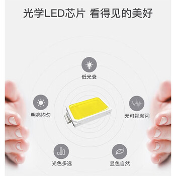 雷士（NVC） T8灯管 LED日光灯管1.2米24W正白光（不含支架 需自购）