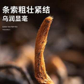 积庆里情韵100克*2罐(共200克)茶叶英德红茶英红九号有机一级浓香配礼袋