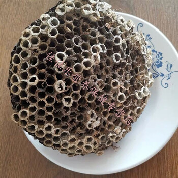 软蜂房露蜂房中药材马蜂窝黄蜂房可打蜂房粉中药材店铺 软蜂房 100克
