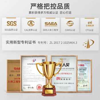 普格瑞司人体工学椅电脑椅电竞椅人体工程学椅可躺办公座椅家用转椅08bh黑