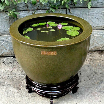 荷花缸中养鱼品牌及商品- 京东