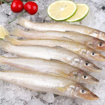 沙丁鱼新鲜海捕深海鱼速冻冰鲜海鲜水产烧烤食材 5斤【图片 价格 品牌