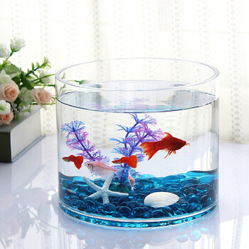 玻璃圆筒鱼缸办公室桌面鱼缸生态金鱼缸加厚圆形鱼缸大号大号圆筒蓝珠