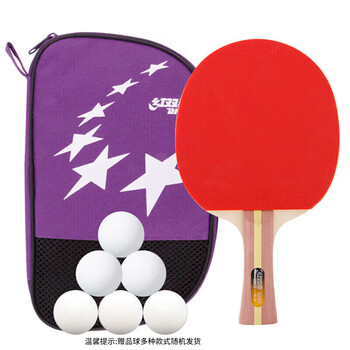 红双喜DHS 横拍 H2002双面反胶健身型乒乓拍附带拍套+乒乓球，单块装