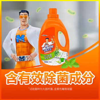 威猛先生（Mr Muscle）地面清洁剂（草本）2kg 浓缩配方除菌除垢 瓷砖清洁