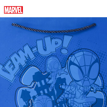 迪士尼（Disney）漫威礼品袋DM29455A