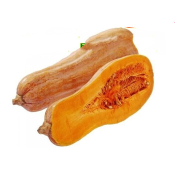 纳格兰南瓜种子砍瓜南瓜籽小南瓜种子蜜本南瓜果蔬菜籽蜜本南瓜约40粒 图片价格品牌报价 京东